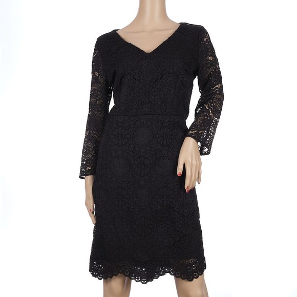 LOFT | Dresses | Loft Black Lace Long Sleeved Sheath Dress 8 Nwt | Poshmark